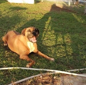 Meet your Posher, Mona